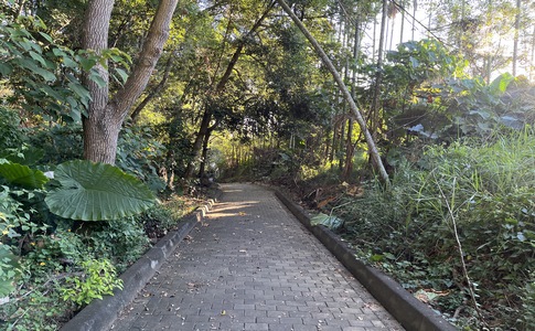 IMG_8055.jpeg IMG_8055.jpeg