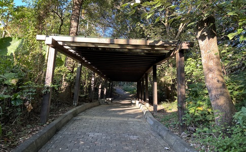 IMG_8056.jpeg IMG_8056.jpeg