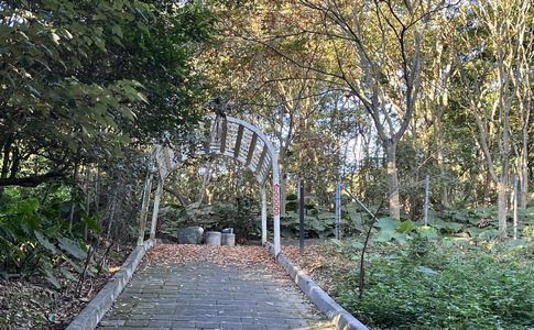 IMG_8057.jpeg IMG_8057.jpeg