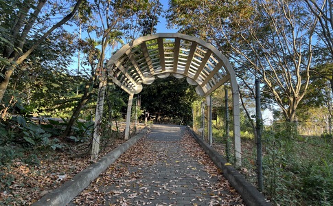 IMG_8059.jpeg IMG_8059.jpeg