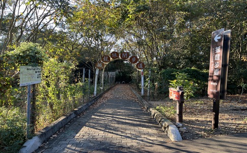 IMG_8060.jpeg IMG_8060.jpeg