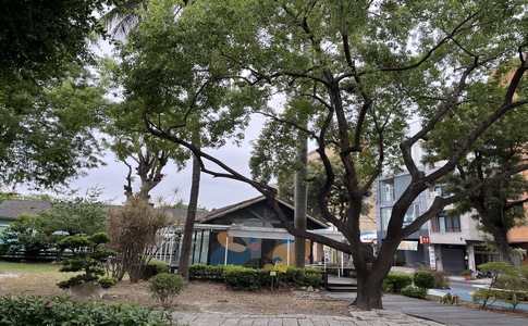 IMG_8143.jpeg IMG_8143.jpeg