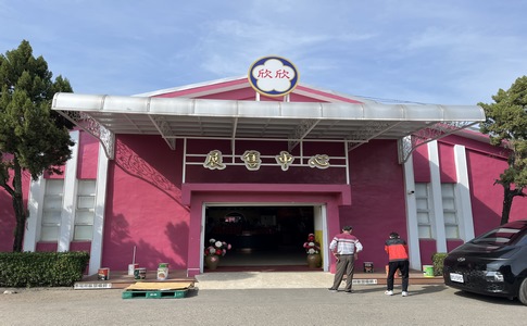 IMG_8198.jpeg IMG_8198.jpeg