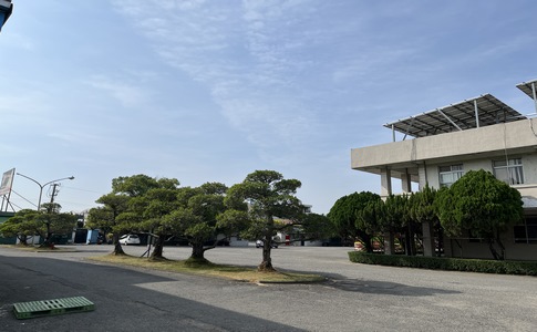 IMG_8212.jpeg IMG_8212.jpeg