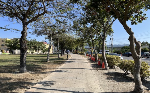 IMG_8454.jpeg IMG_8454.jpeg