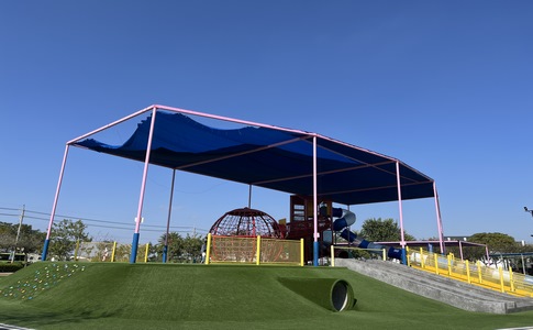 IMG_8455.jpeg IMG_8455.jpeg