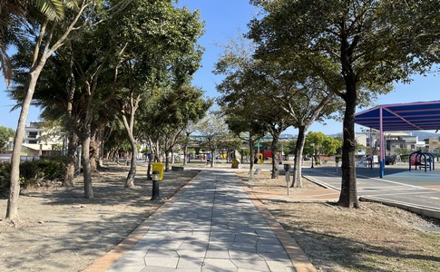 IMG_8464.jpeg IMG_8464.jpeg