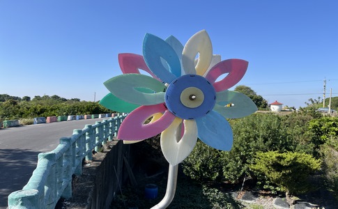 IMG_8402.jpeg IMG_8402.jpeg