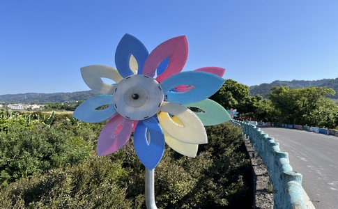 IMG_8403.jpeg IMG_8403.jpeg