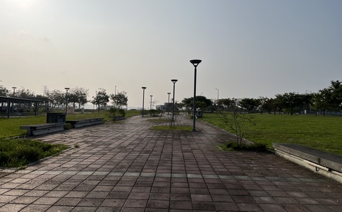 IMG_9356.jpeg