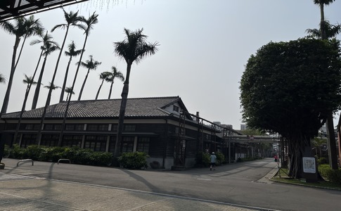 IMG_9565.jpeg