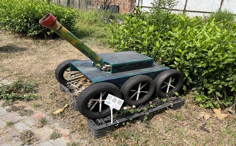 IMG_9653.jpeg