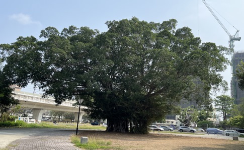 IMG_9656.jpeg