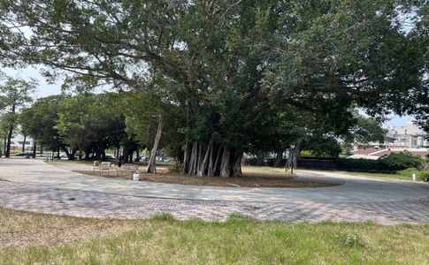 IMG_9660.jpeg