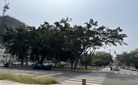 IMG_9661.jpeg