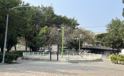 IMG_9571.jpeg