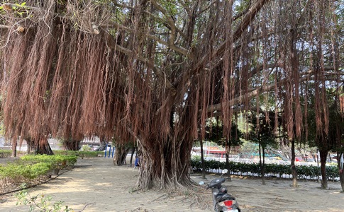 IMG_9572.jpeg
