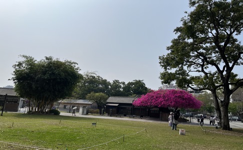 IMG_9640.jpeg