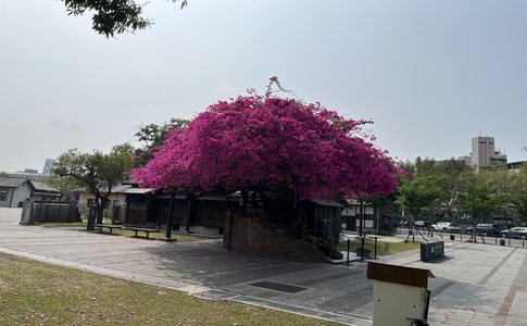 IMG_9643.jpeg