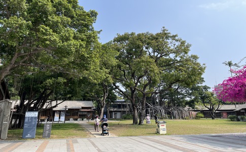 IMG_9646.jpeg
