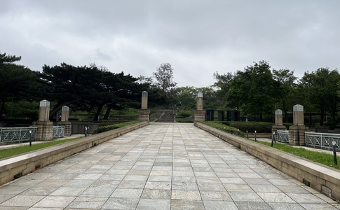 IMG_9965.jpeg
