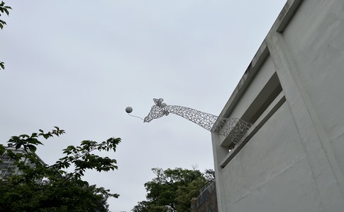 IMG_9881.jpeg