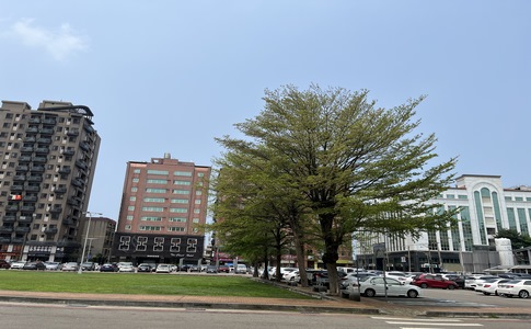 IMG_0039.jpeg