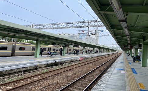 IMG_0050.jpeg
