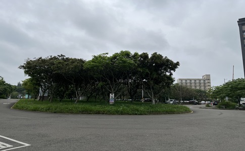 IMG_9988.jpeg