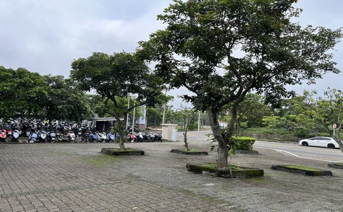 IMG_9992.jpeg