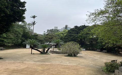 IMG_9908.jpeg