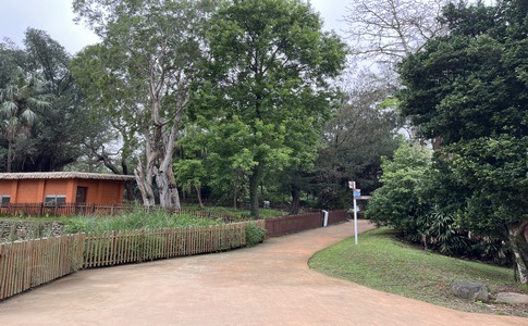 IMG_9909.jpeg