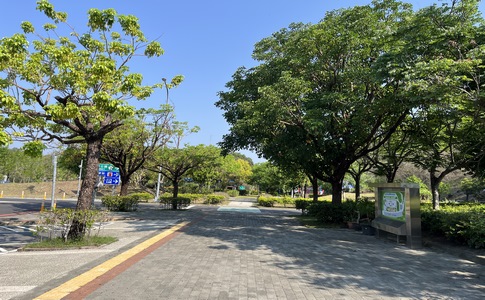 IMG_0134.jpeg