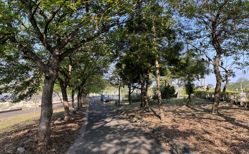 IMG_0090.jpeg