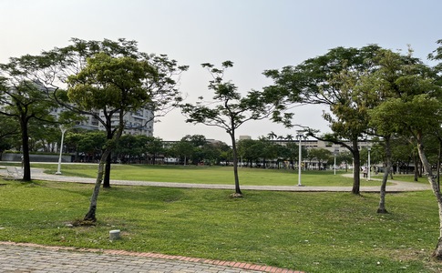 IMG_0150.jpeg