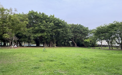 IMG_0307.jpeg