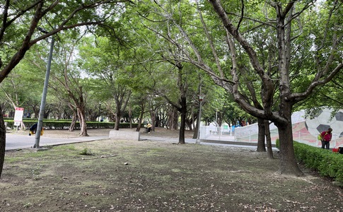 IMG_0309.jpeg