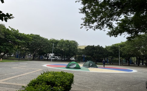 IMG_0310.jpeg