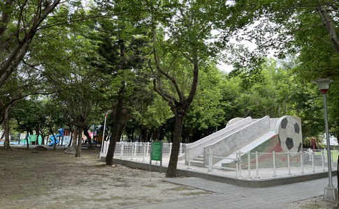 IMG_0312.jpeg