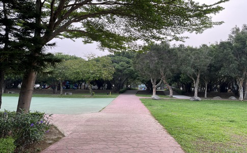 IMG_0317.jpeg