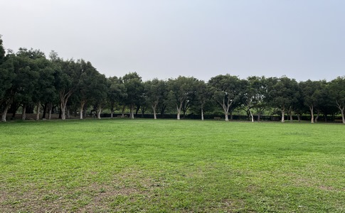 IMG_0318.jpeg
