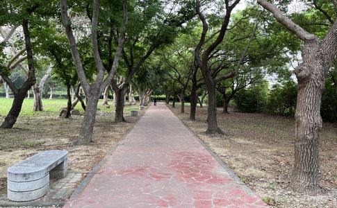 IMG_0319.jpeg